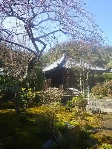 海蔵寺の庭園