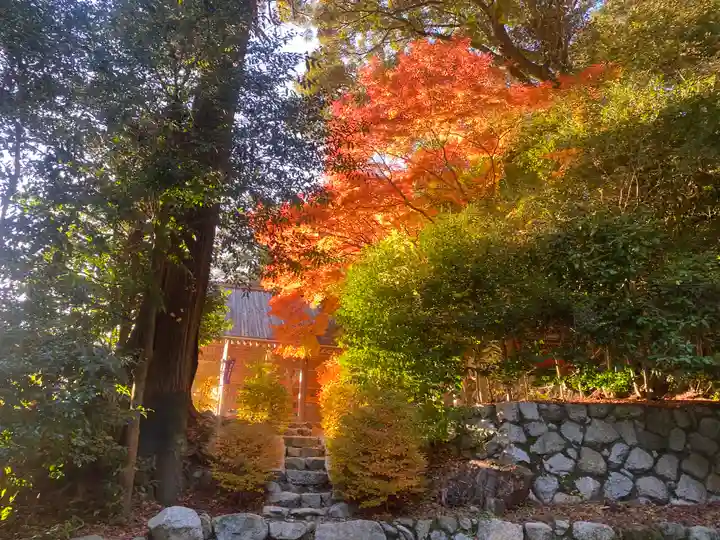 高鴨神社(奈良県)