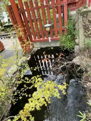 秩父神社(埼玉県)