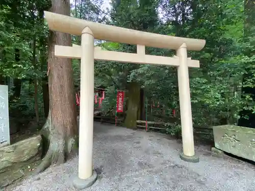 宝登山神社(埼玉県)