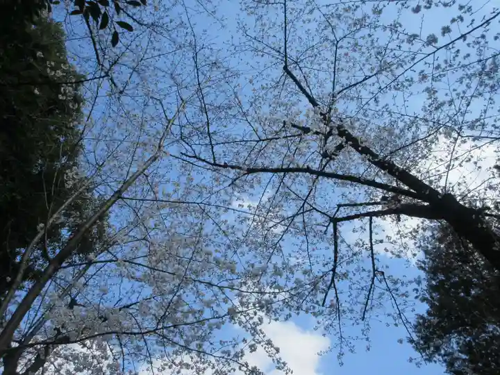 仙波氷川神社(埼玉県)