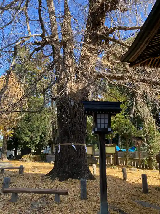 今宮神社のその他建物