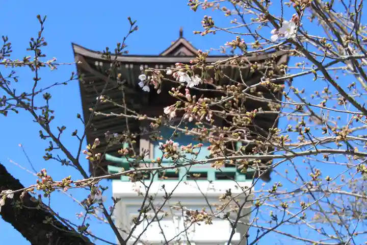 伊勢山皇大神宮の自然