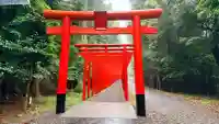 美濃國一宮 南宮大社(岐阜県)
