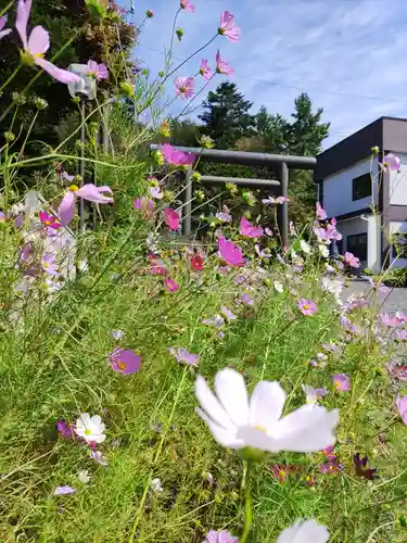 浦河神社(北海道)