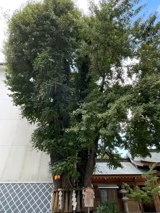 櫛田神社の{uncategorized: "未分類", other: "その他", undefined: "問題あり", building: "その他建物", grave: "お墓", sacred_gate: "鳥居", guardian: "狛犬", statue: "像", buddha: "仏像", history: "歴史", nature: "自然", garden: "庭園", animal: "動物", pagoda: "塔", temizu: "手水舎", mountain_gate: "山門・神門", sanctuary: "本殿・本堂", subordinate: "末社・摂社", art: "芸術", scenery: "景色", jizo: "地蔵", ema: "絵馬", goshuin: "御朱印", omikuji: "おみくじ", items: "授与品その他", amulet: "お守り", goshuincho: "御朱印帳", eats: "食事", festival: "お祭り", votive_dance: "神楽", shichigosan: "七五三参", wedding: "結婚式", experience: "体験その他", initially: "初詣", around: "周辺", anti_infection: "感染症対策"}