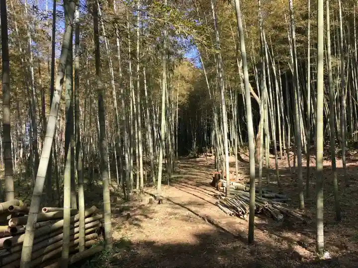 皇産靈神社の周辺
