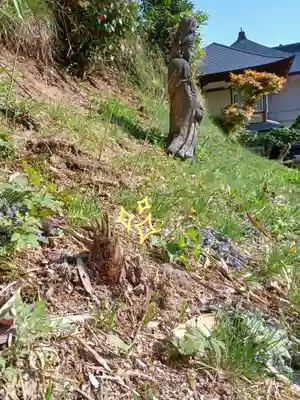 白狐山光星寺(山形県)