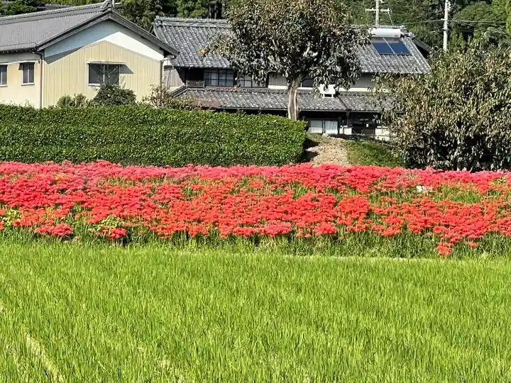 麻生神社の自然