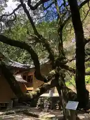 男女神社の自然