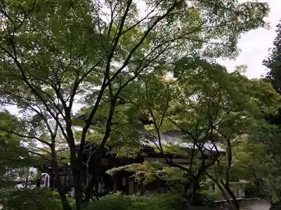 今熊野観音寺のその他建物