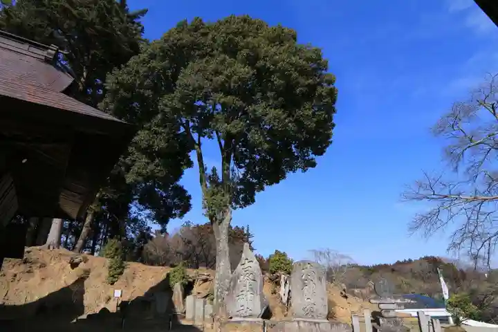 長屋神社の景色