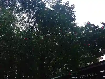 速谷神社(広島県)