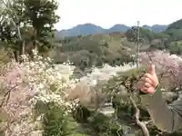 常楽寺(長野県)