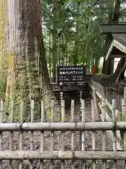 雲巌寺の自然