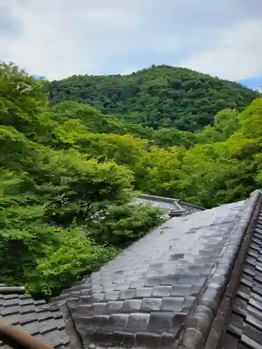 光明寺瑠璃光院(京都府)