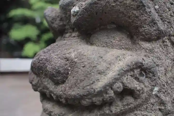 鎮守氷川神社の狛犬