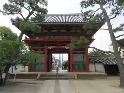 葛井寺の山門・神門