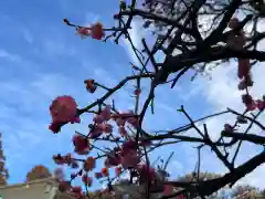 大生郷天満宮の自然