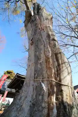 科野大宮社(長野県)