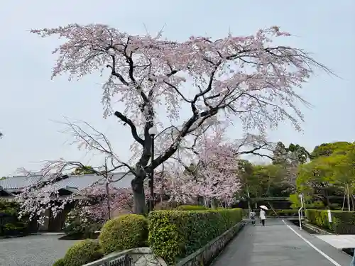 南禅寺(京都府)