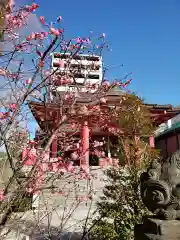 成子天神社の自然