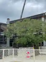 太宰府天満宮(福岡県)