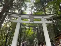 宝登山神社奥宮(埼玉県)