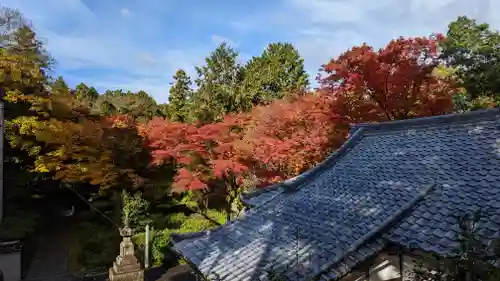 来迎院(京都府)