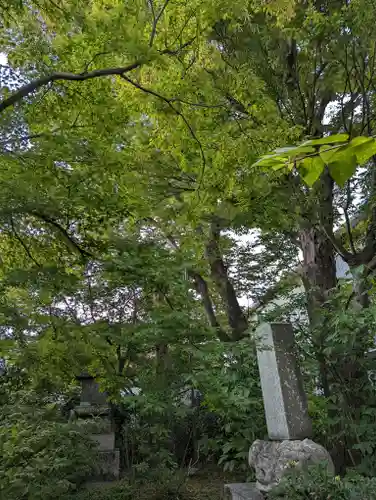 元慶寺(京都府)