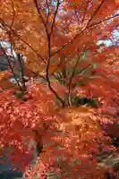 才覚地蔵(三重県)