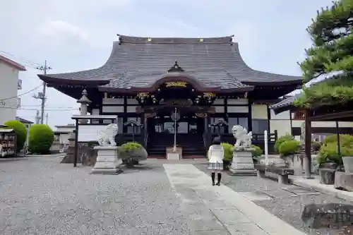 妙顕寺の本殿・本堂