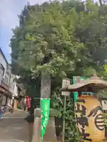 一山神社のその他建物