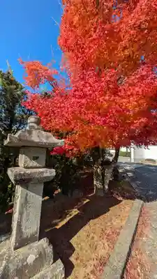 圓成寺（岩戸妙見宮）(京都府)