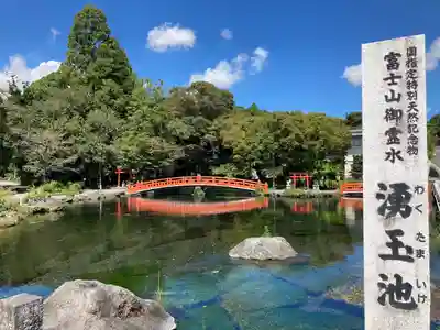 富士山本宮浅間大社(静岡県)