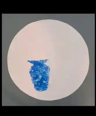 瀧宮神社(広島県)