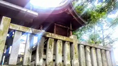 稲荷社（栄生稲荷社）の本殿・本堂