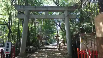 道野辺八幡宮の鳥居