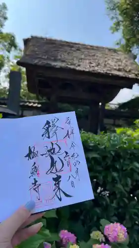 極楽寺（霊鷲山感應院極楽律寺）の御朱印