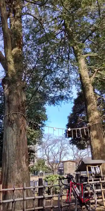 神明大神宮(神奈川県)