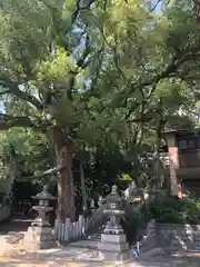 垂水神社(大阪府)