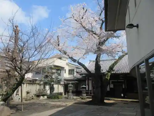 観明寺(東京都)