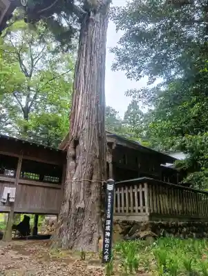 深坂神社の{uncategorized: "未分類", other: "その他", undefined: "問題あり", building: "その他建物", grave: "お墓", sacred_gate: "鳥居", guardian: "狛犬", statue: "像", buddha: "仏像", history: "歴史", nature: "自然", garden: "庭園", animal: "動物", pagoda: "塔", temizu: "手水舎", mountain_gate: "山門・神門", sanctuary: "本殿・本堂", subordinate: "末社・摂社", art: "芸術", scenery: "景色", jizo: "地蔵", ema: "絵馬", goshuin: "御朱印", omikuji: "おみくじ", items: "授与品その他", amulet: "お守り", goshuincho: "御朱印帳", eats: "食事", festival: "お祭り", votive_dance: "神楽", shichigosan: "七五三参", wedding: "結婚式", experience: "体験その他", initially: "初詣", around: "周辺", anti_infection: "感染症対策"}