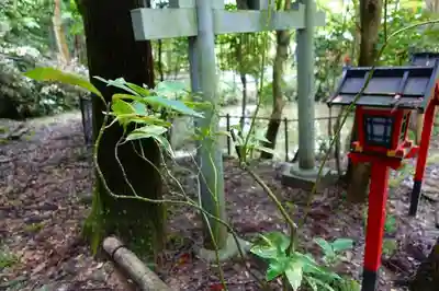 今熊野観音寺のその他建物
