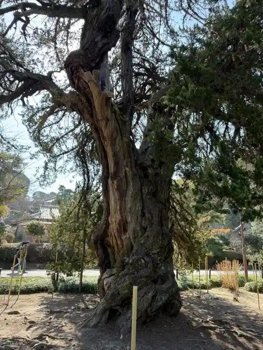 建長寺(神奈川県)
