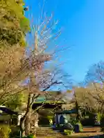 薬王寺(茨城県)