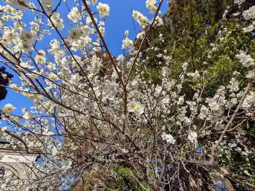 豊景神社(福島県)