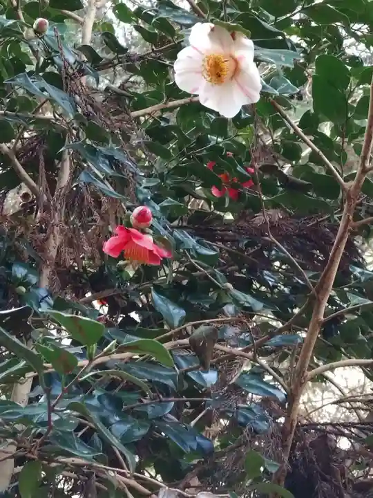 幣立神宮(熊本県)