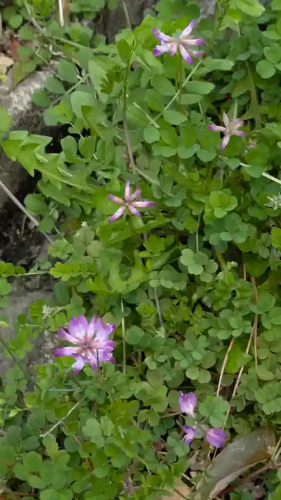 惠心院(京都府)