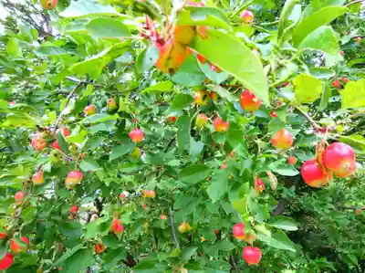禅源寺(北海道)